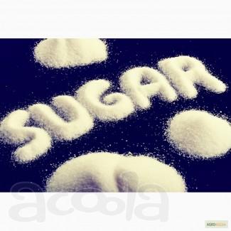 Сахар продам на экспорт. Крупным оптом.